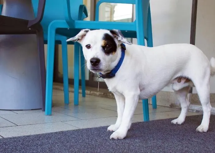 Ivana リド・ディ・イエゾロ